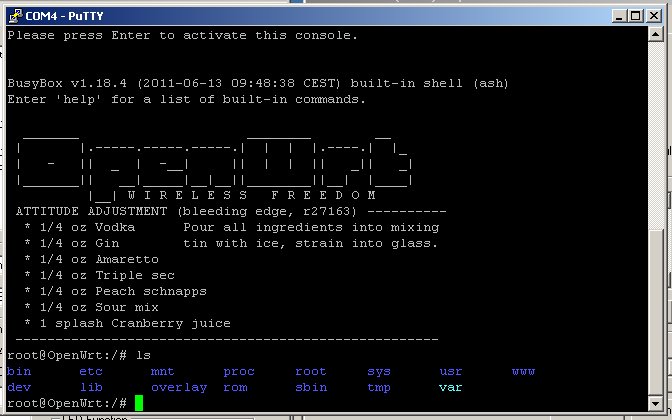 Screenshot of serial terminal session in PuTTY utility.